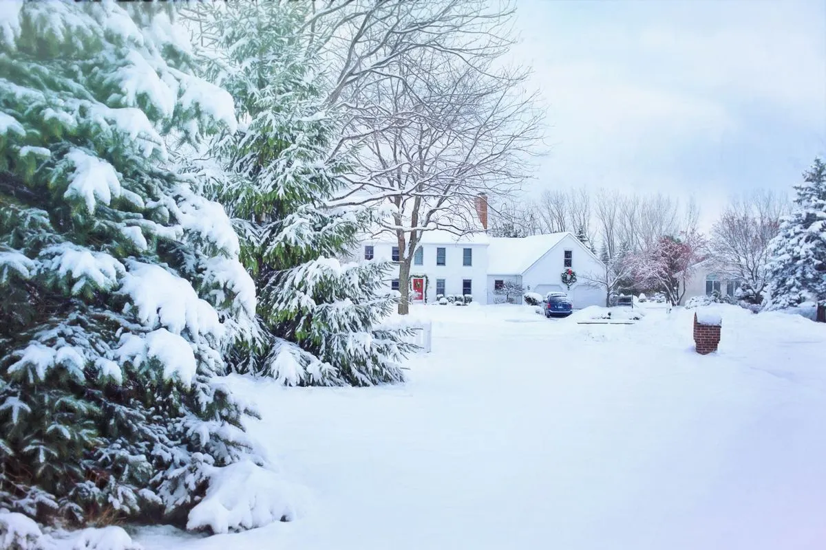 Detached house on a quiet street